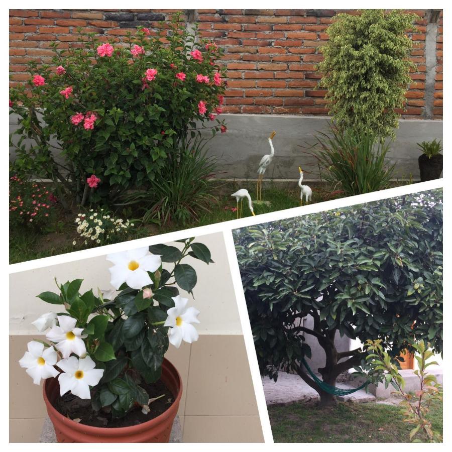 Tababela Airport B&B Dış mekan fotoğraf