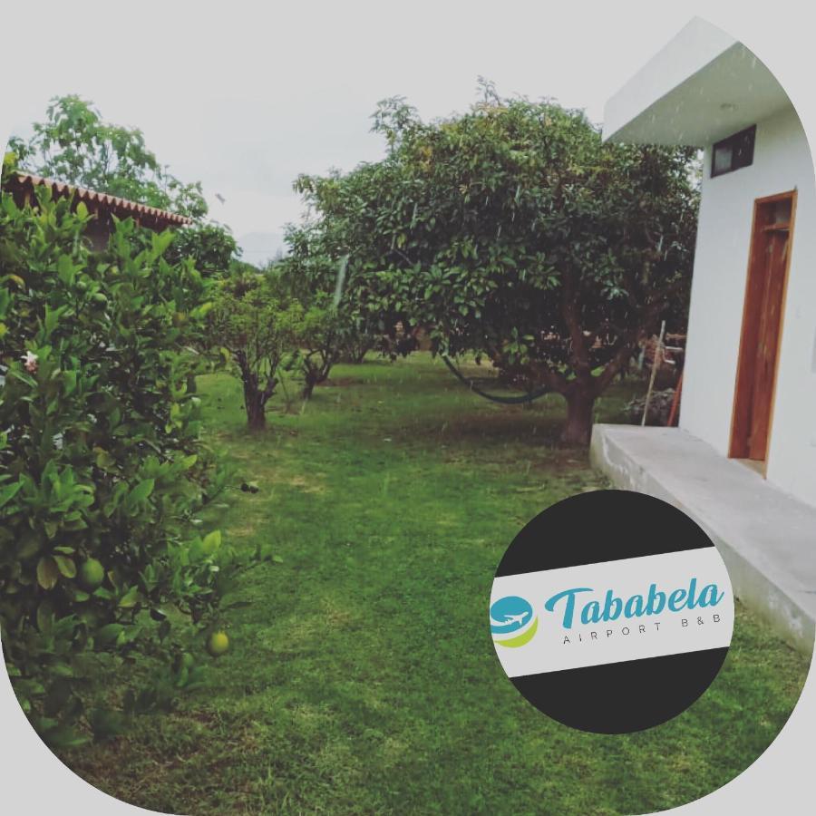 Tababela Airport B&B Dış mekan fotoğraf